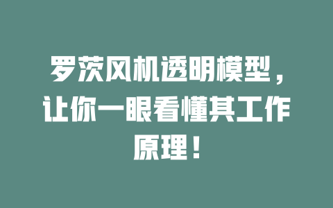 罗茨风机透明模型,让你一眼看懂其工作原理! 一