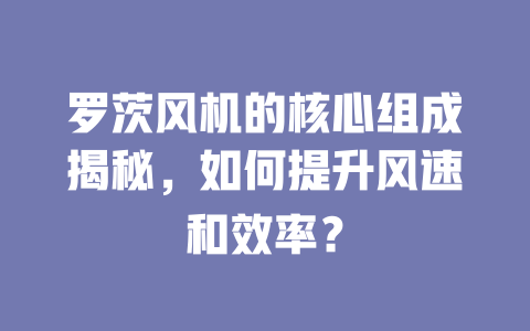 罗茨风机的核心组成揭秘，如何提升风速和效率？ 一