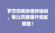罗茨风机的独特结构，竟让风速提升如此明显！