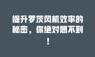 提升罗茨风机效率的秘密，你绝对想不到！