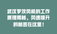 武汉罗茨风机的工作原理揭秘，风速提升的秘密在这里！