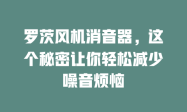 罗茨风机消音器，这个秘密让你轻松减少噪音烦恼