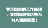 罗茨风机的工作原理，竟然隐藏着这些不为人知的秘密！