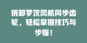拆卸罗茨风机同步齿轮，轻松掌握技巧与步骤！