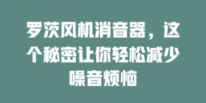罗茨风机消音器，这个秘密让你轻松减少噪音烦恼